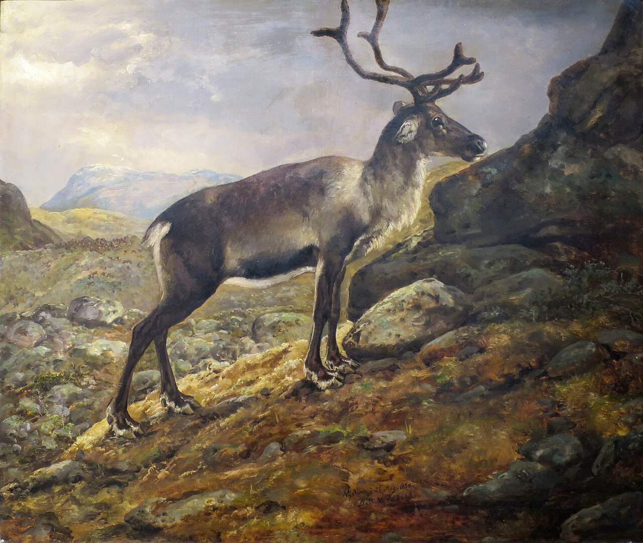 Reindeer by Johann Siegwald Dahl