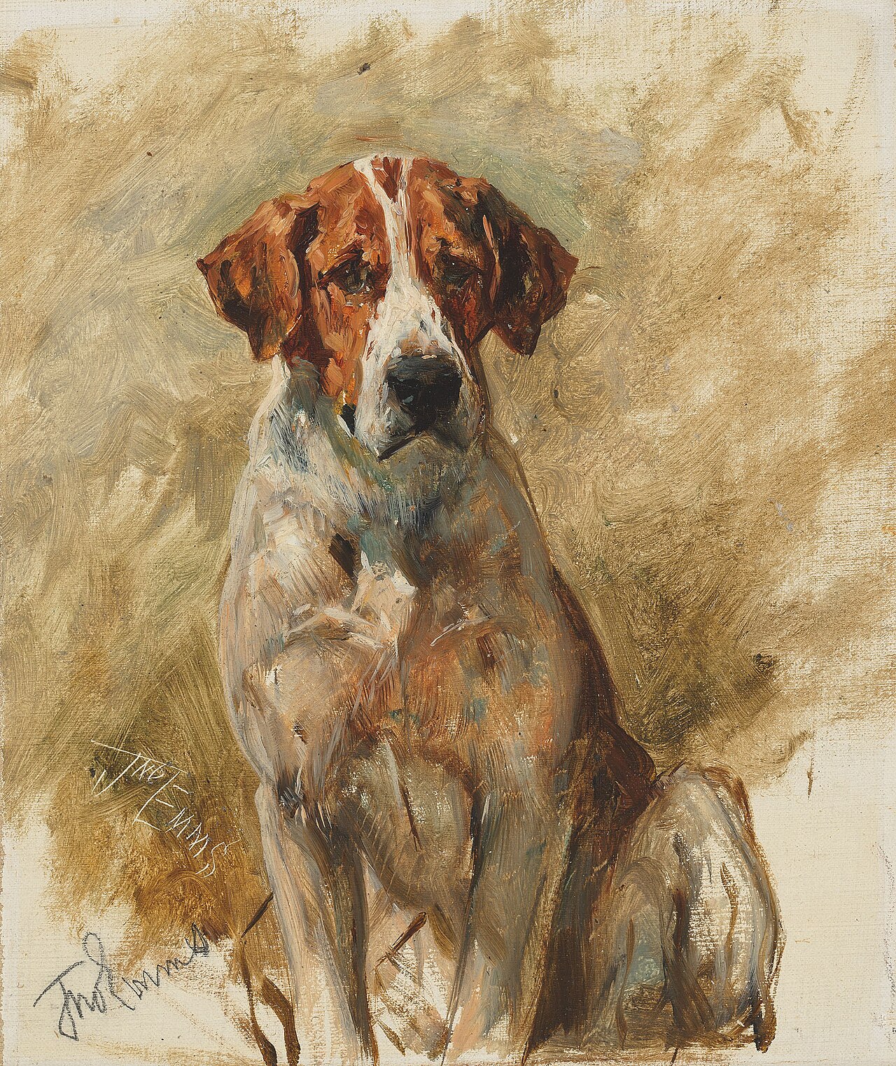 Study of a Hound by John Emms