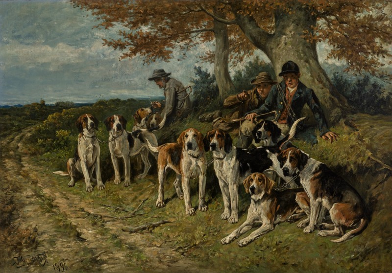 The Newforest Buckhounds by John Emms