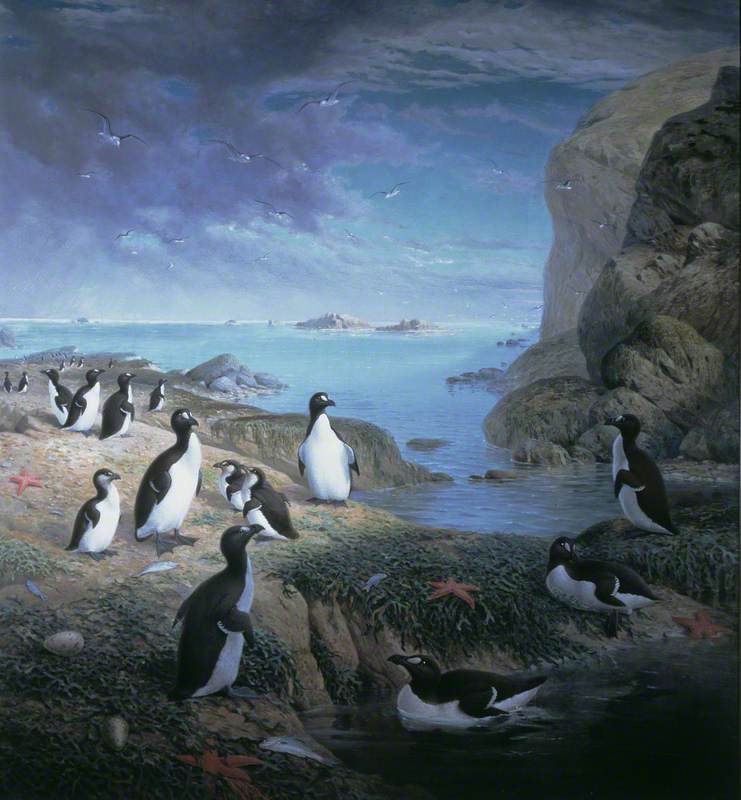 Great Auks by John Gerrard Keulemans
