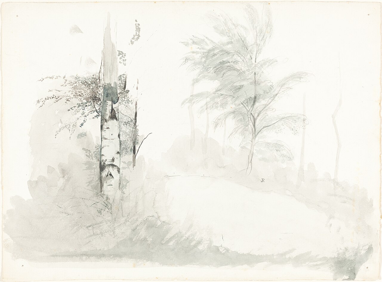 Tree Study by John Ruskin