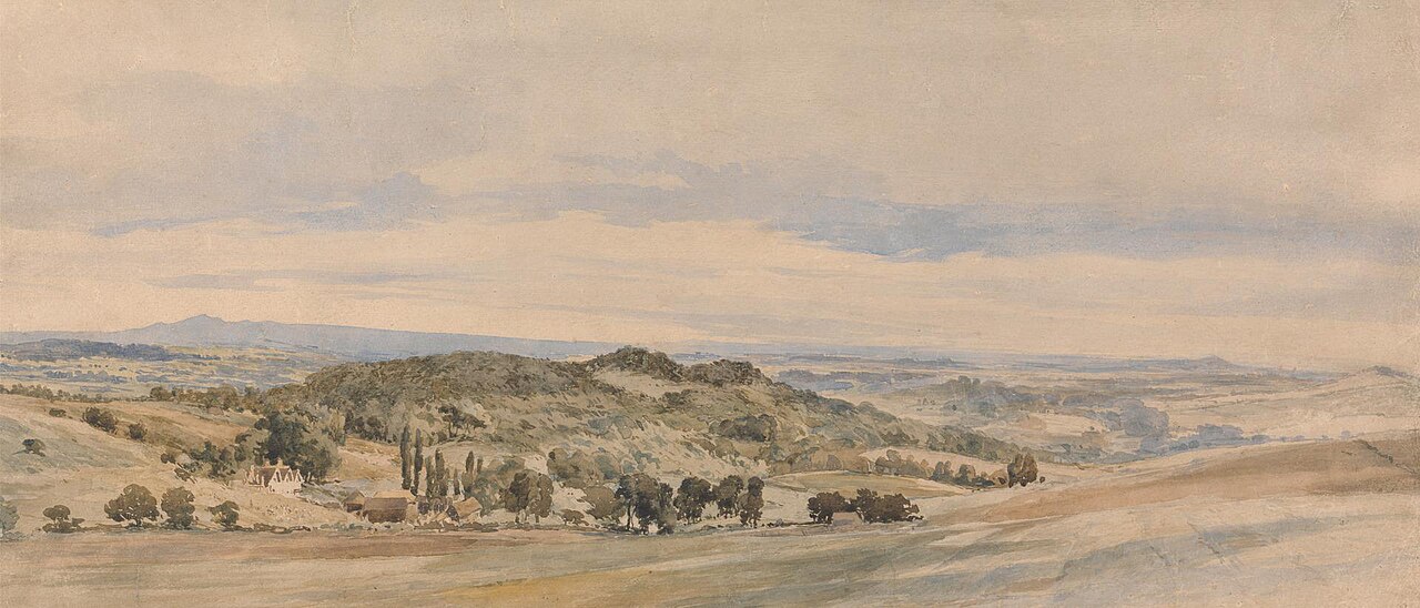 Merrow Downs, Surrey by John Thirtle