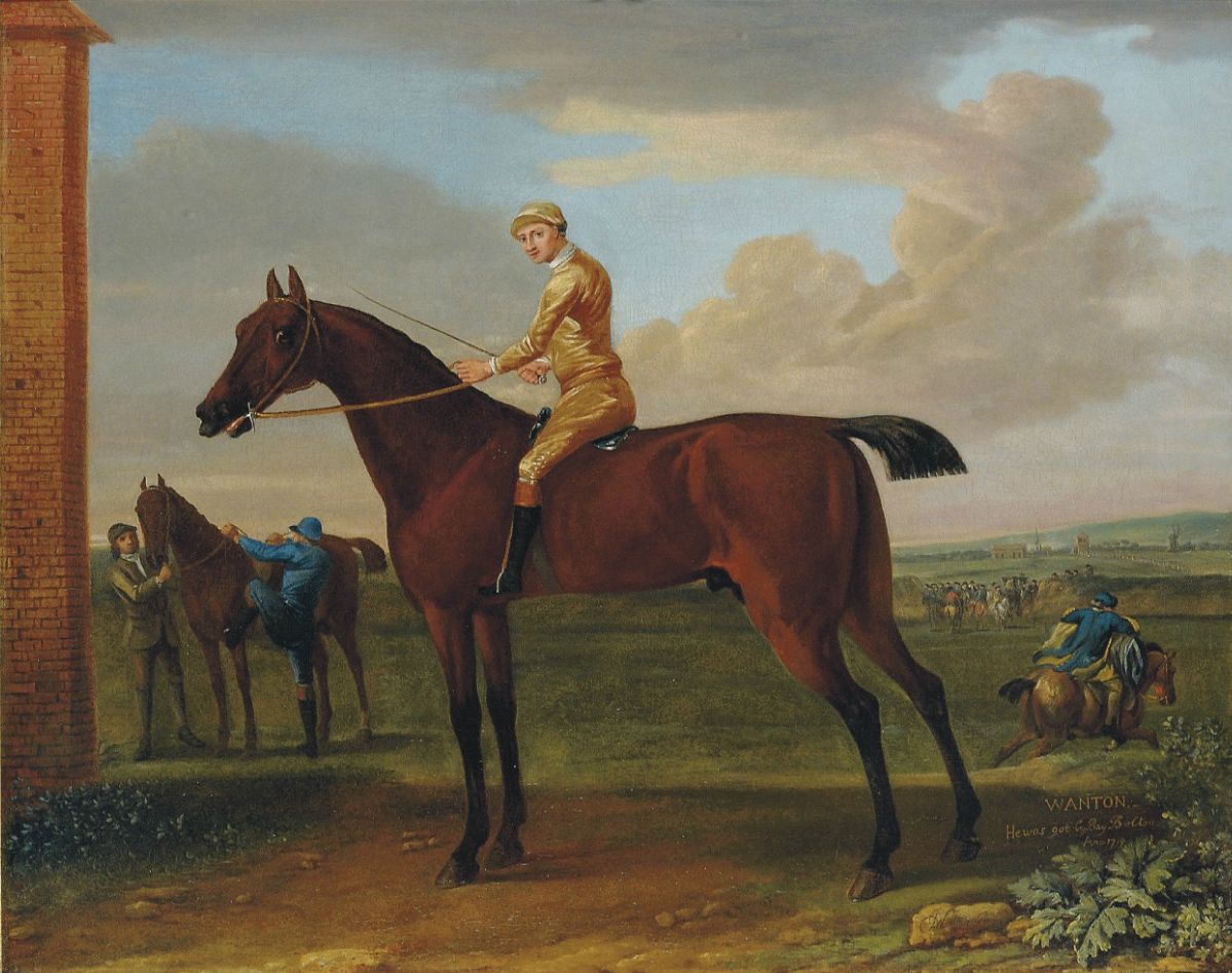 Bay Wanton by John Wootton