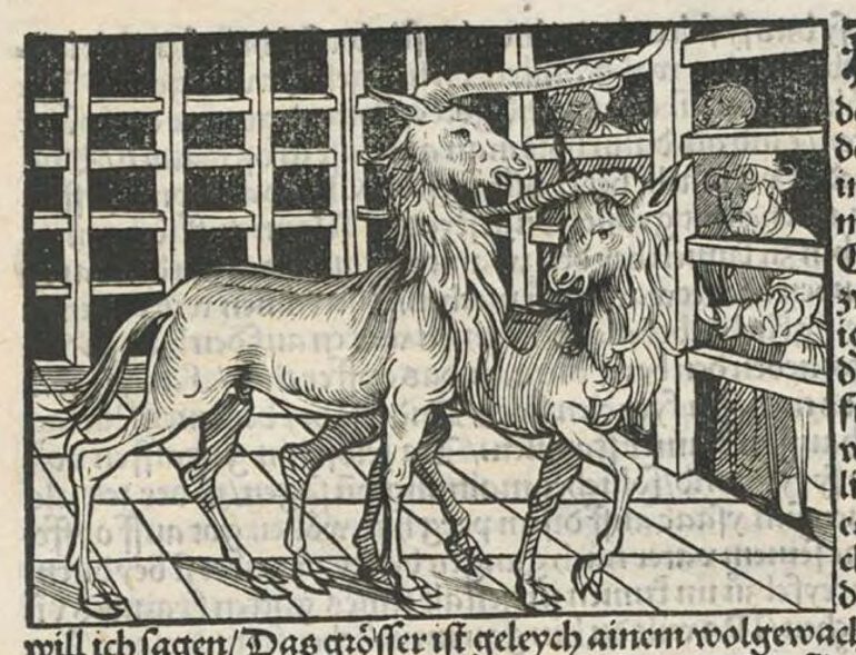 Two Unicorns in Mecca by Jörg Breu the Elder