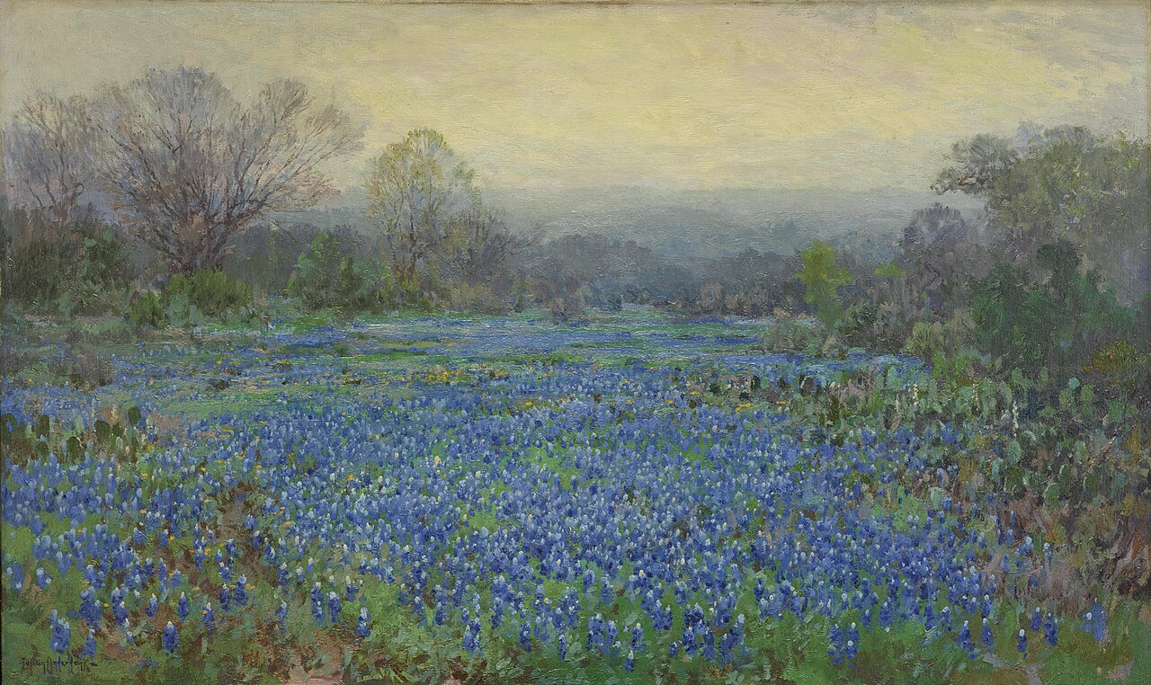 Untitled (Field of Bluebonnets) by Julian Onderdonk