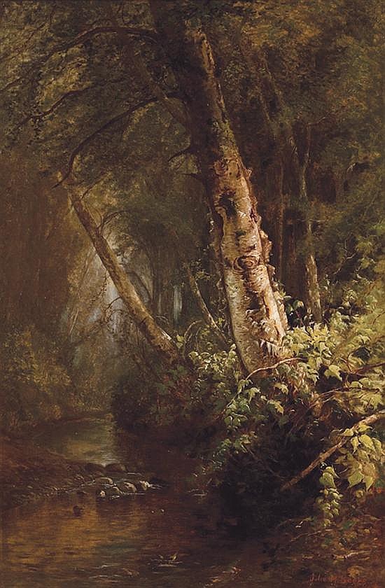Forest Interior - The Old Birch Tree by Julie Hart Beers