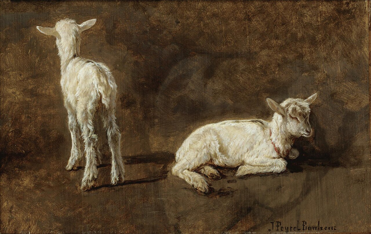 A Study of Two Lambs by Juliette Bonheur