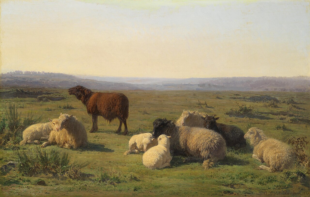 Sheep Resting in the Meadow by Juliette Bonheur