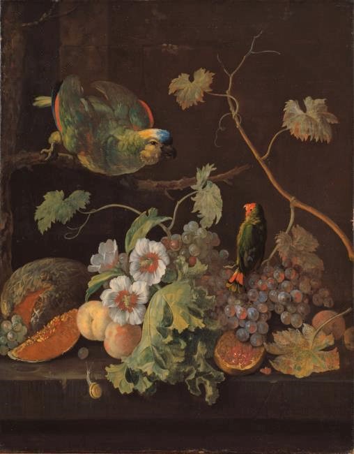 Still Life with Parrots by Justus van Huysum