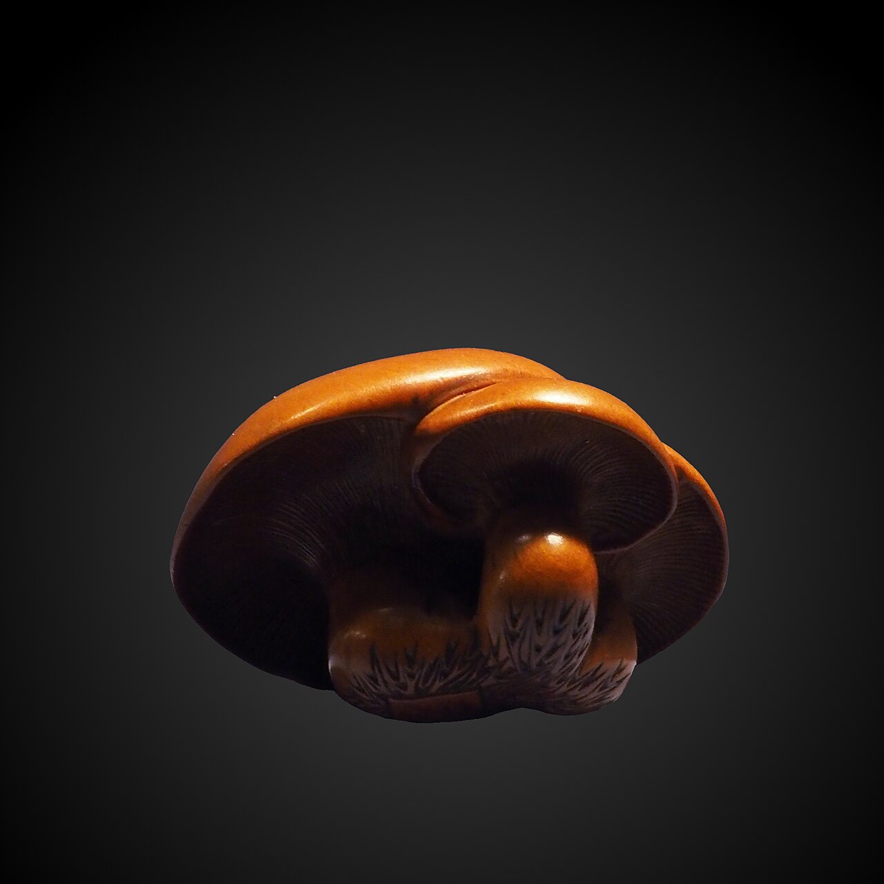 Three mushrooms by Kanō Hōgai