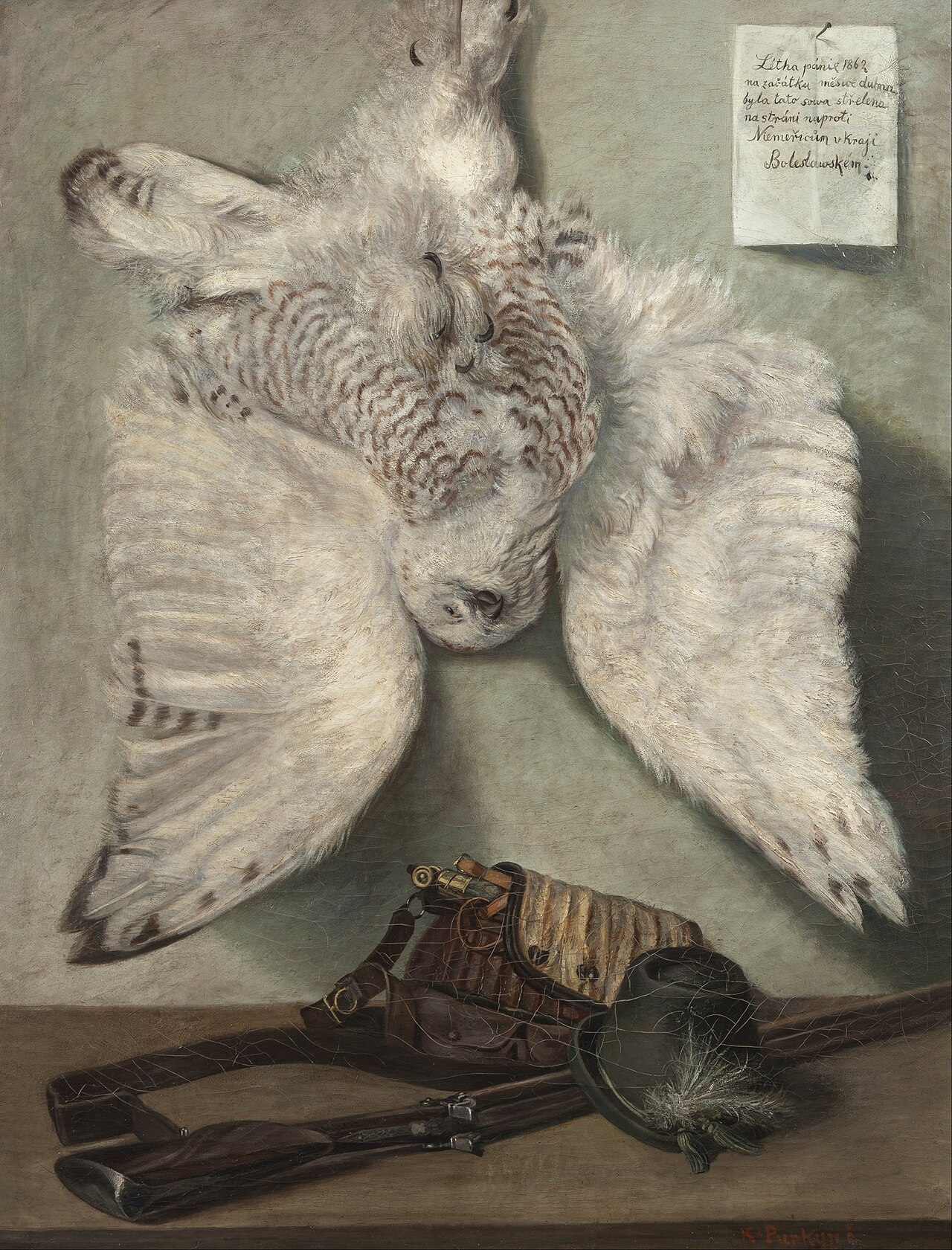 Snowy Owl by Karel Purkyně