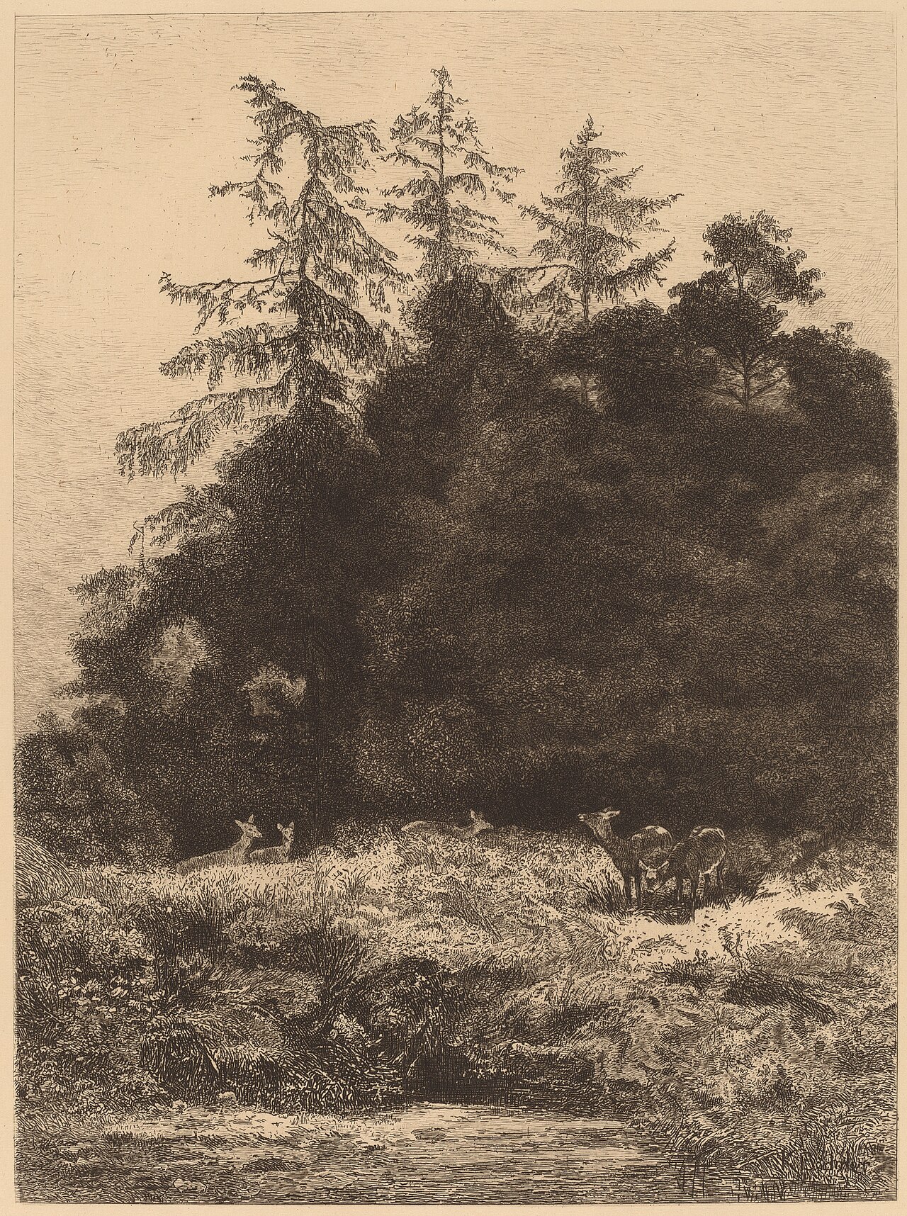 Daims dans un Parc by Karl Bodmer