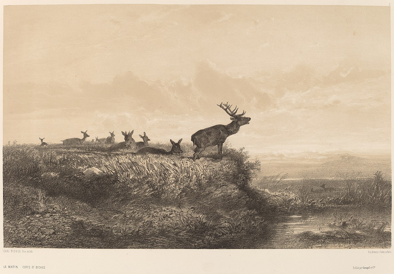 Le Matin by Karl Bodmer