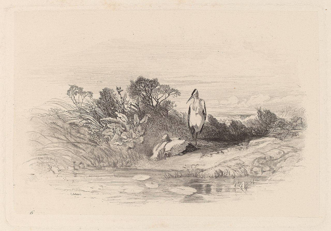 Les Deux Herons by Karl Bodmer