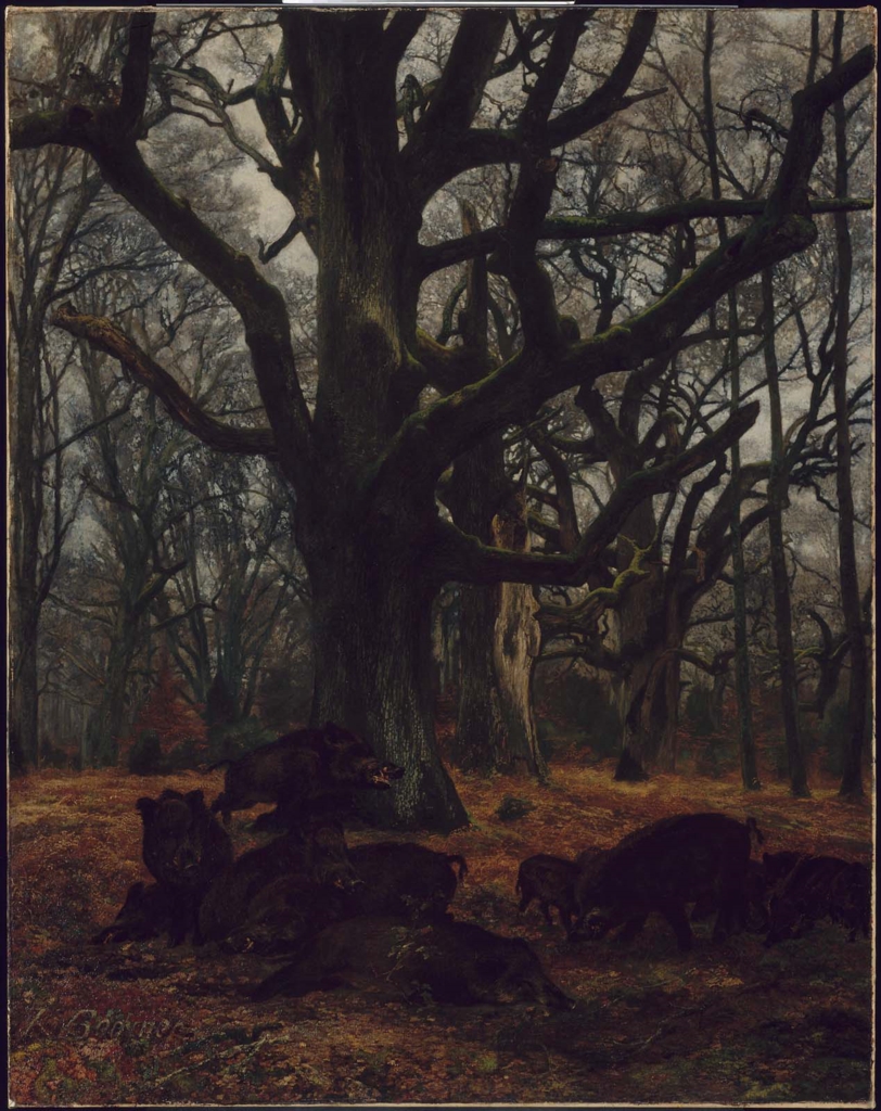 Oaks and Wild Boars by Karl Bodmer