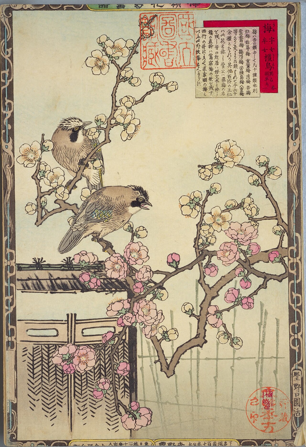Bairei's Picture Album of Birds and Flowers by Kōno Bairei