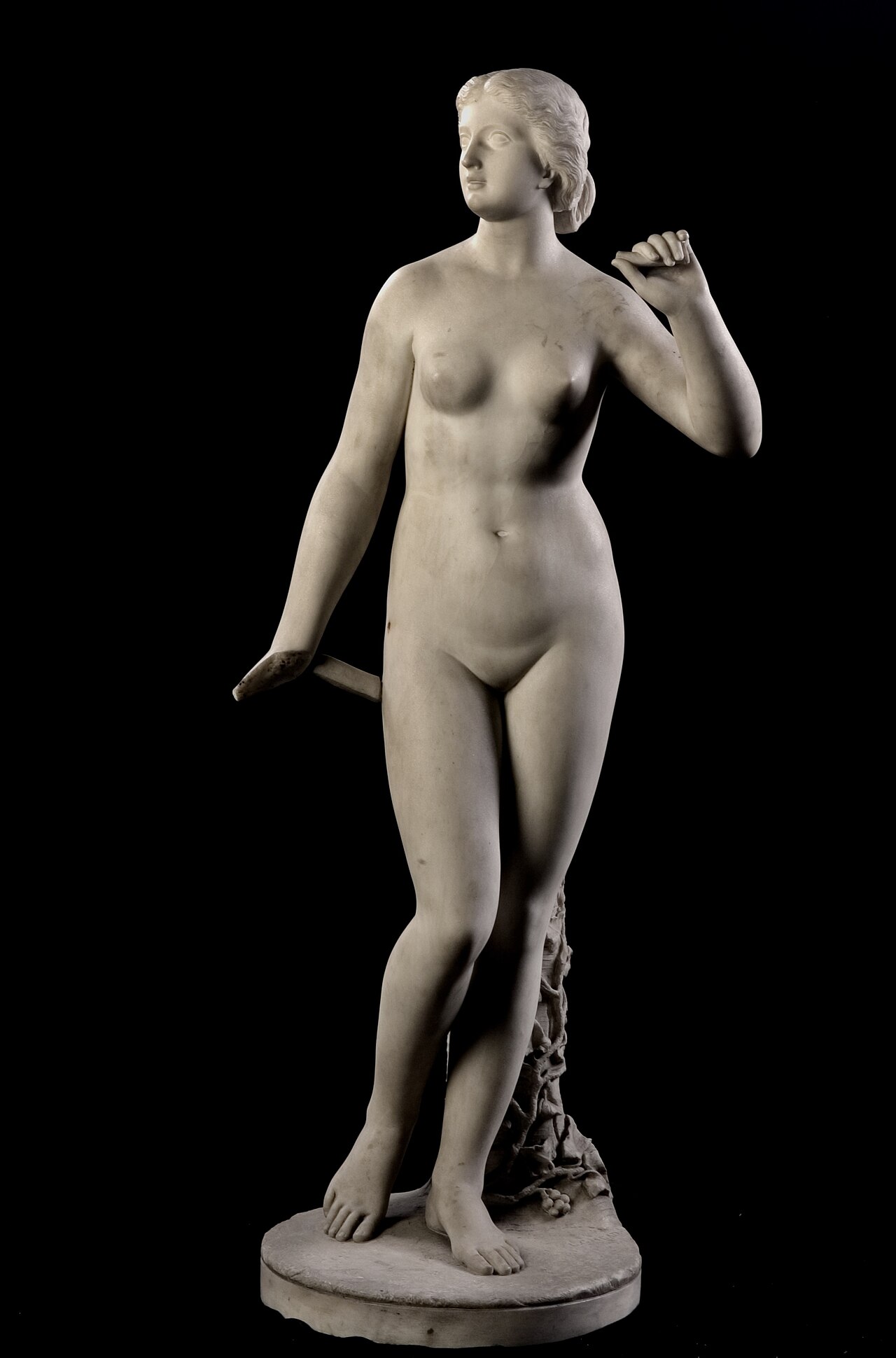 Echo by Larkin Goldsmith Mead