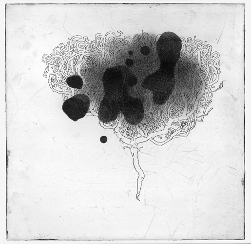 Rose of Jericho by Larry Abramson