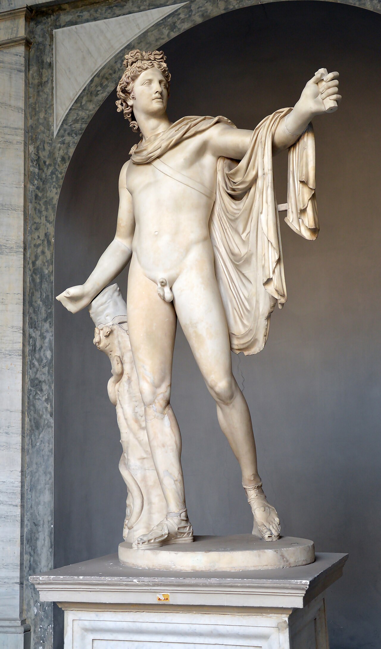 Apollo Belvedere by Leochares