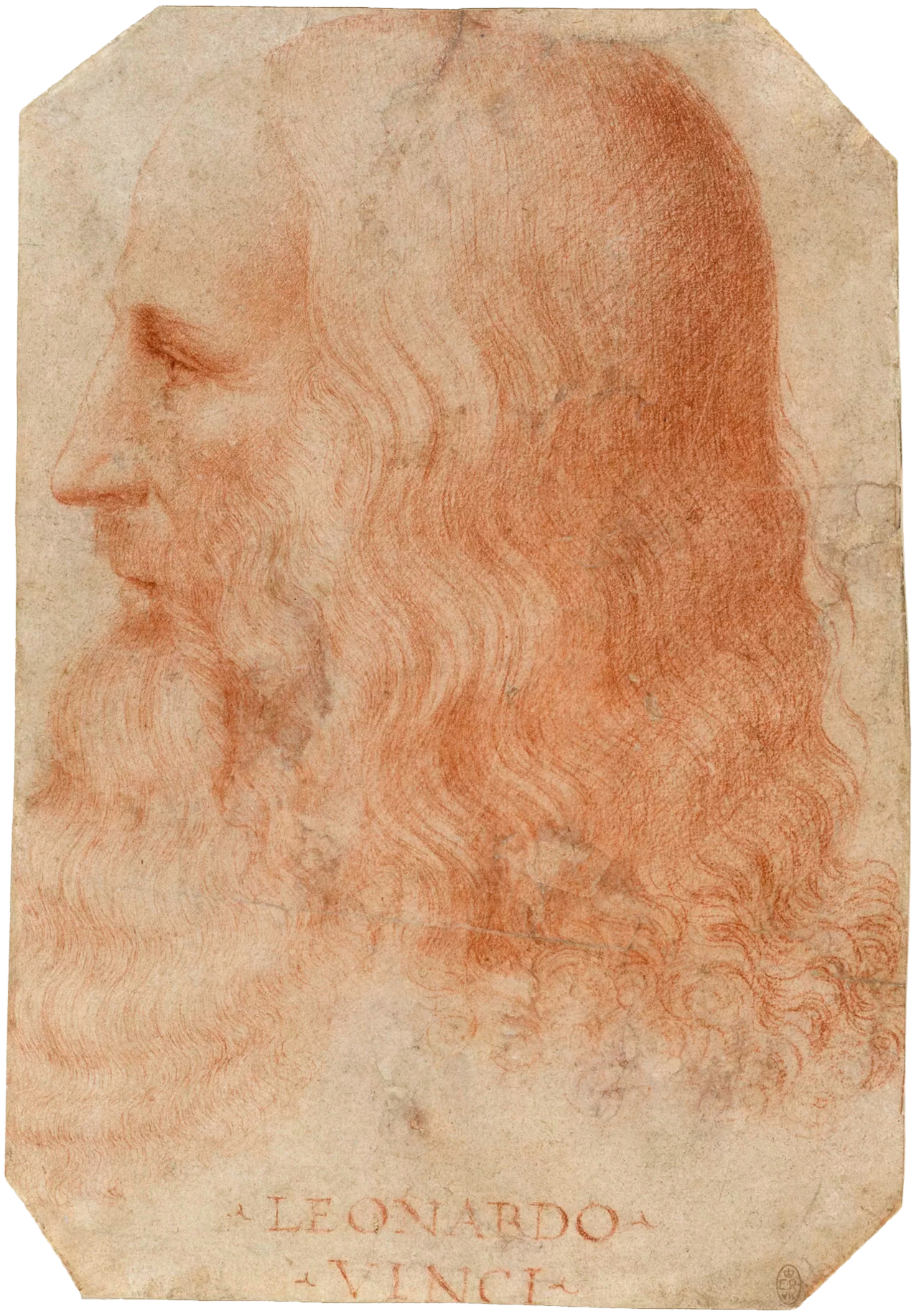 Portrait of Leonardo da Vinci
