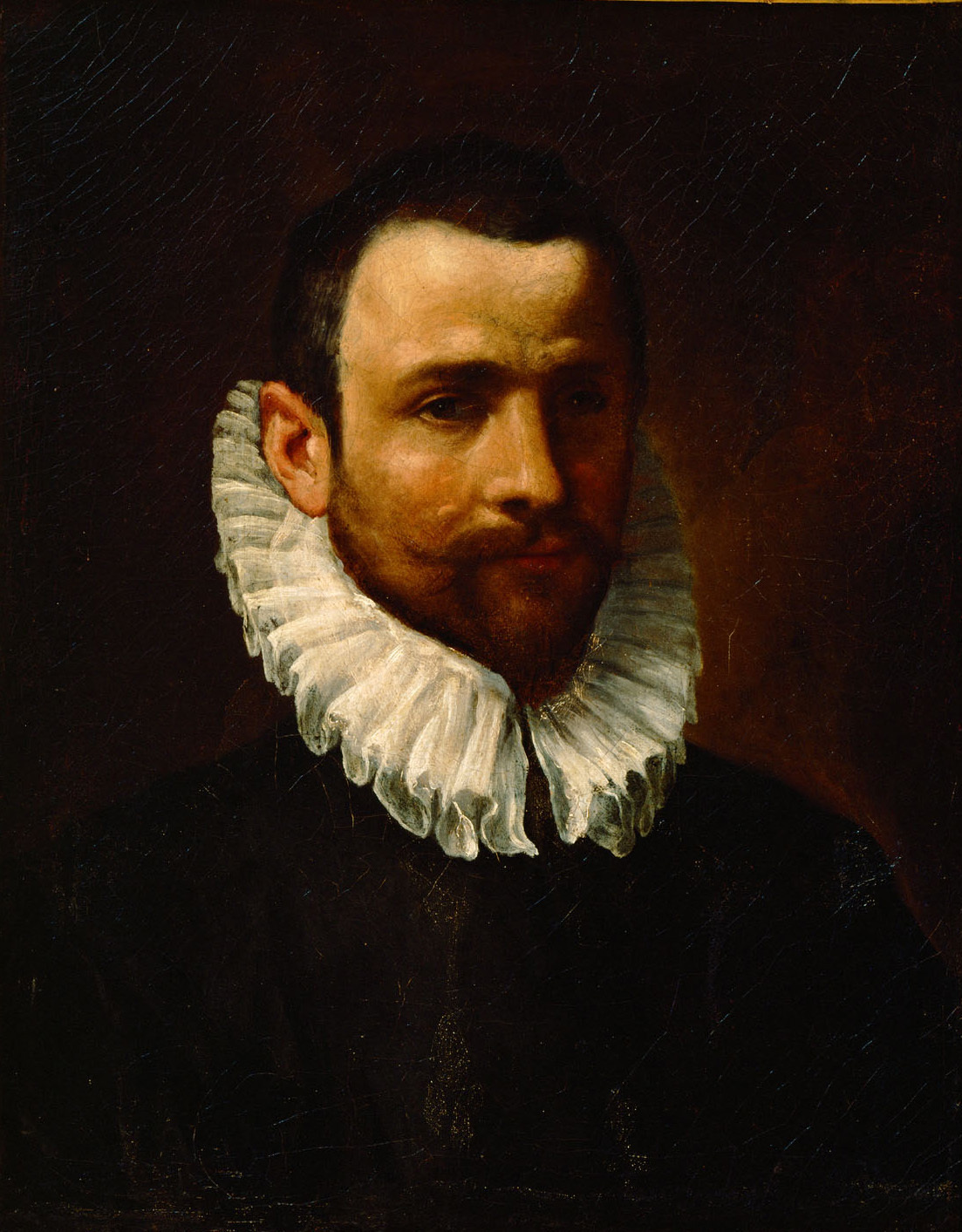 Portrait of Lodewijk Toeput