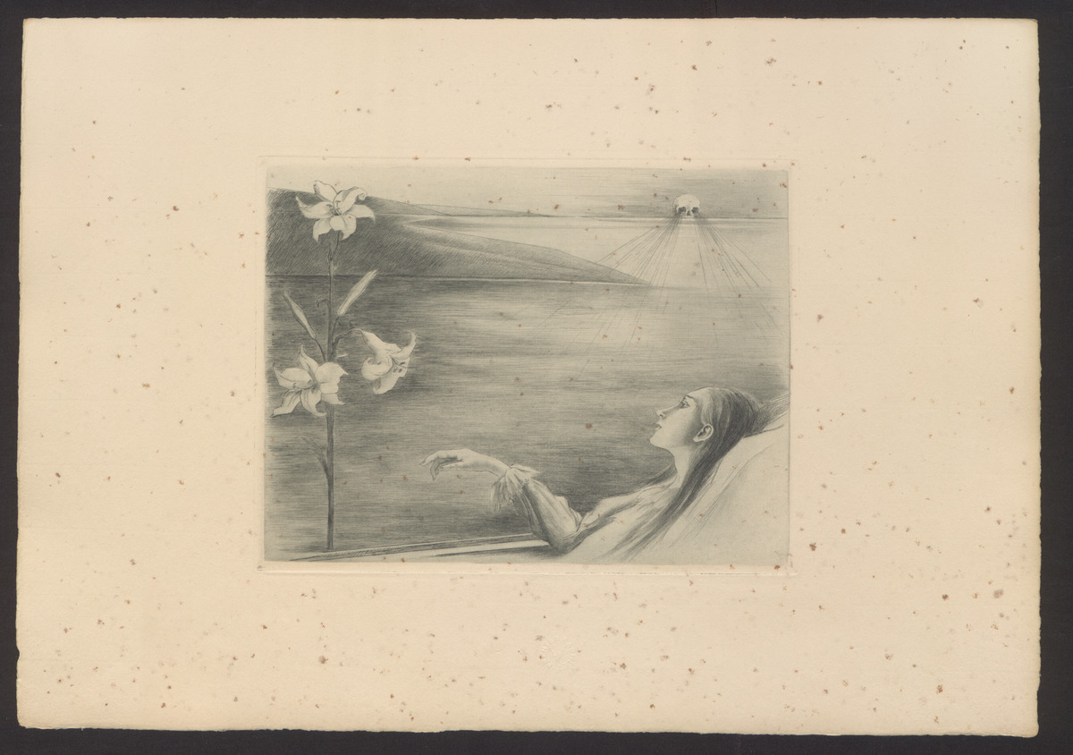 Les Lys de Morteraine by Louise Danse