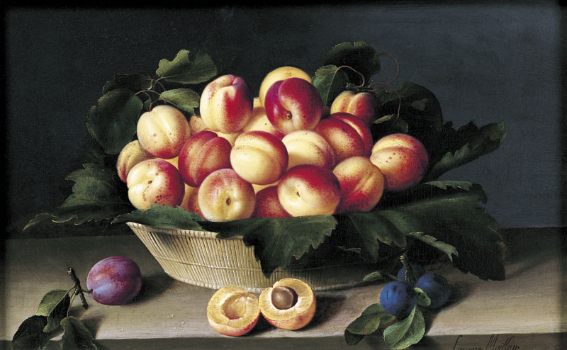 Still Life with Apricots by Louise Moillon