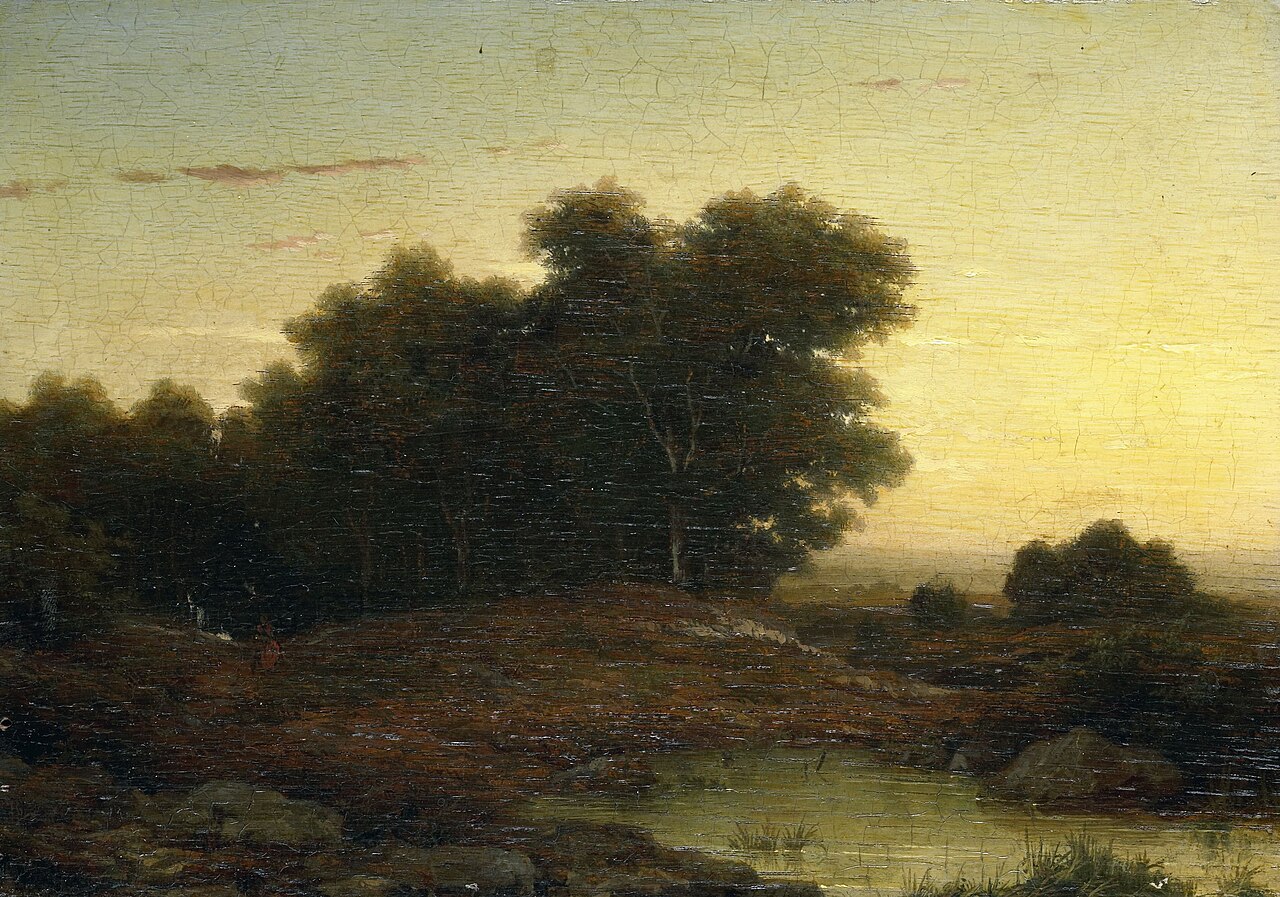 View in the Woods at Sunset by Louwrens Hanedoes