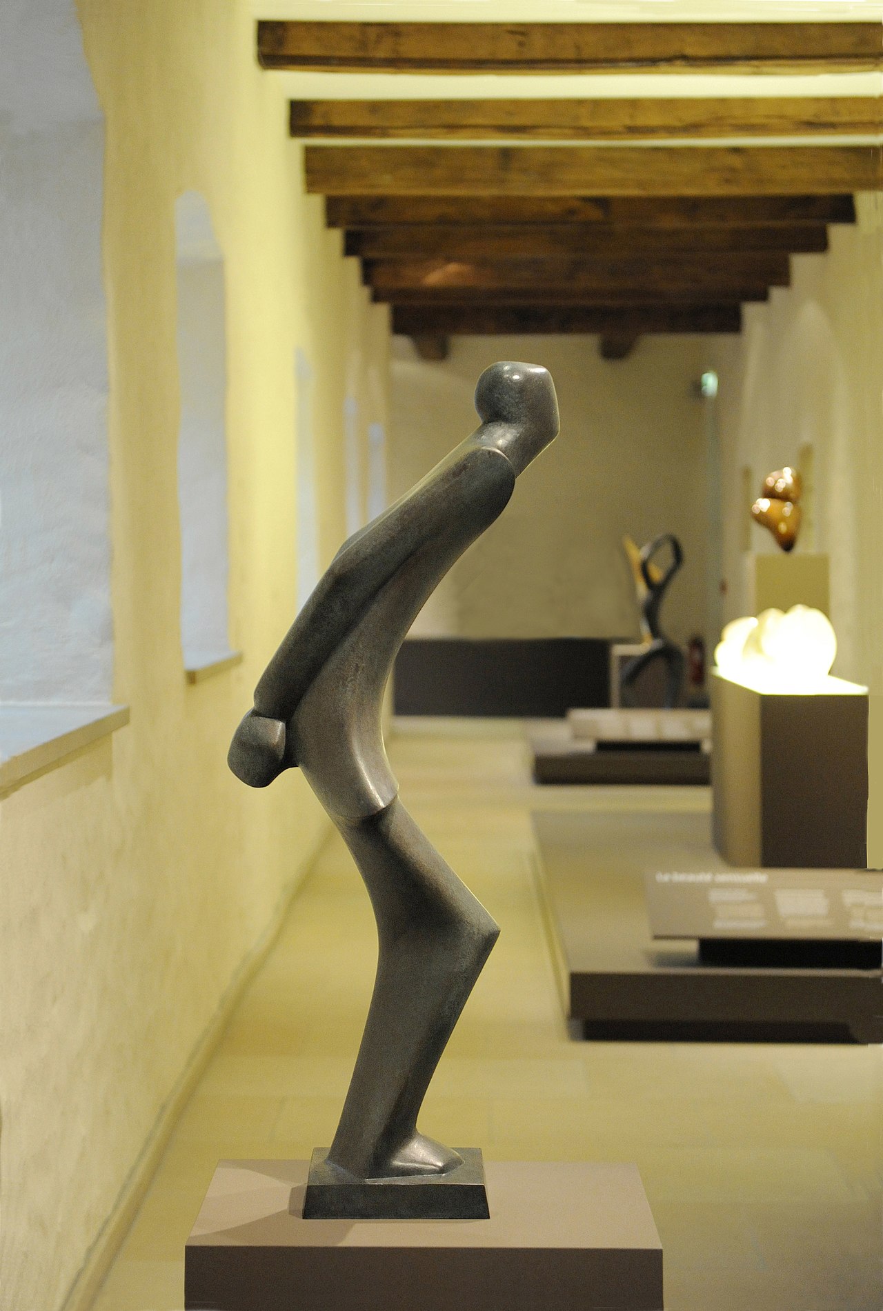 Le prisonnier politique by Lucien Wercollier