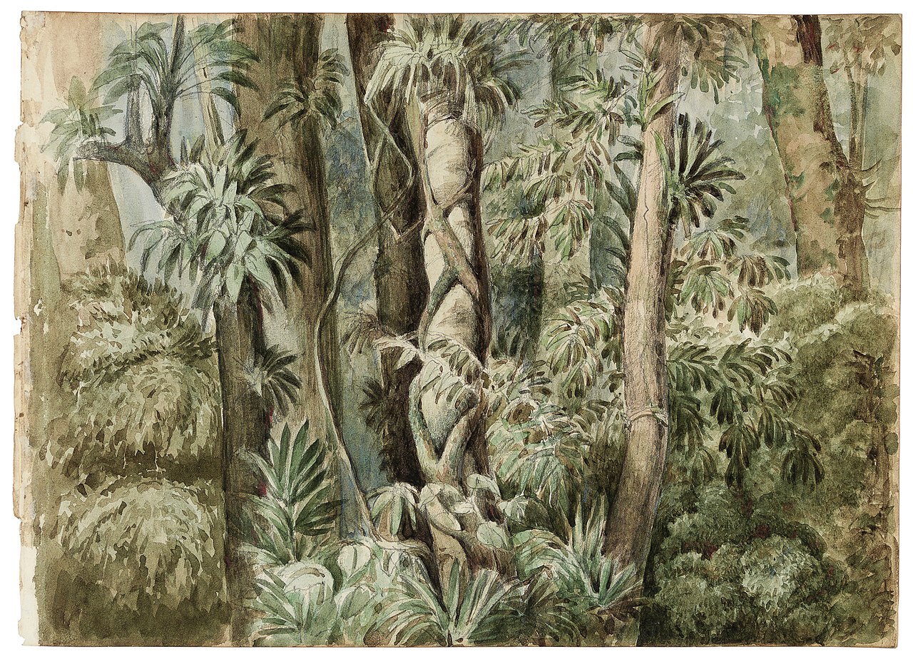 Wild forest by Manuel de Araújo Porto-Alegre