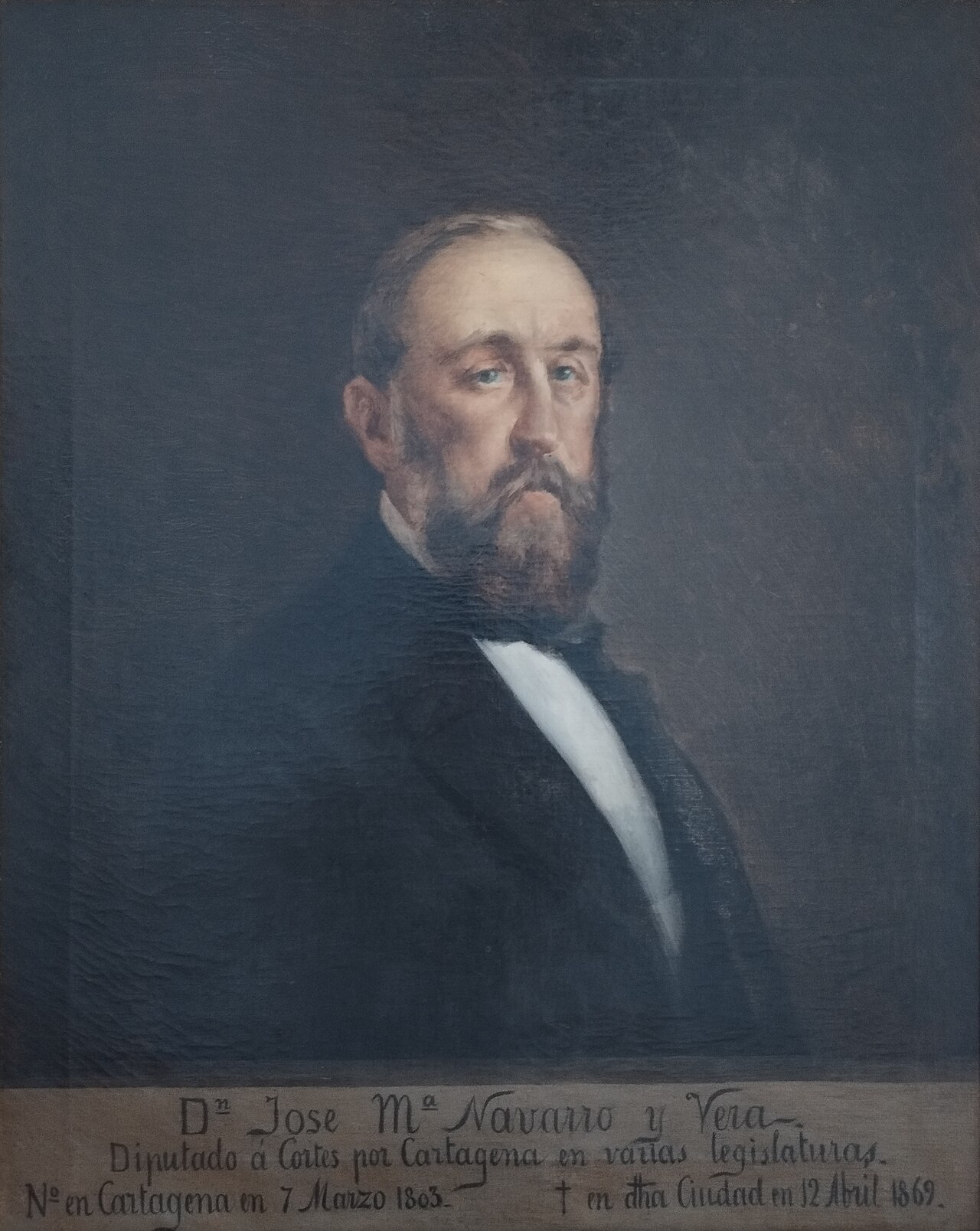 Portrait of José María Navarro y Vera by Manuel Ussel de Guimbarda