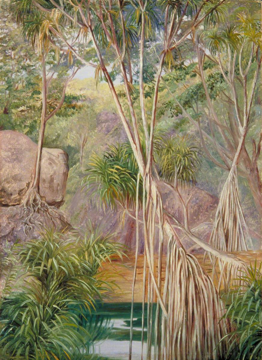 Screw-Pines in Praslin, Seychelles by Marianne North