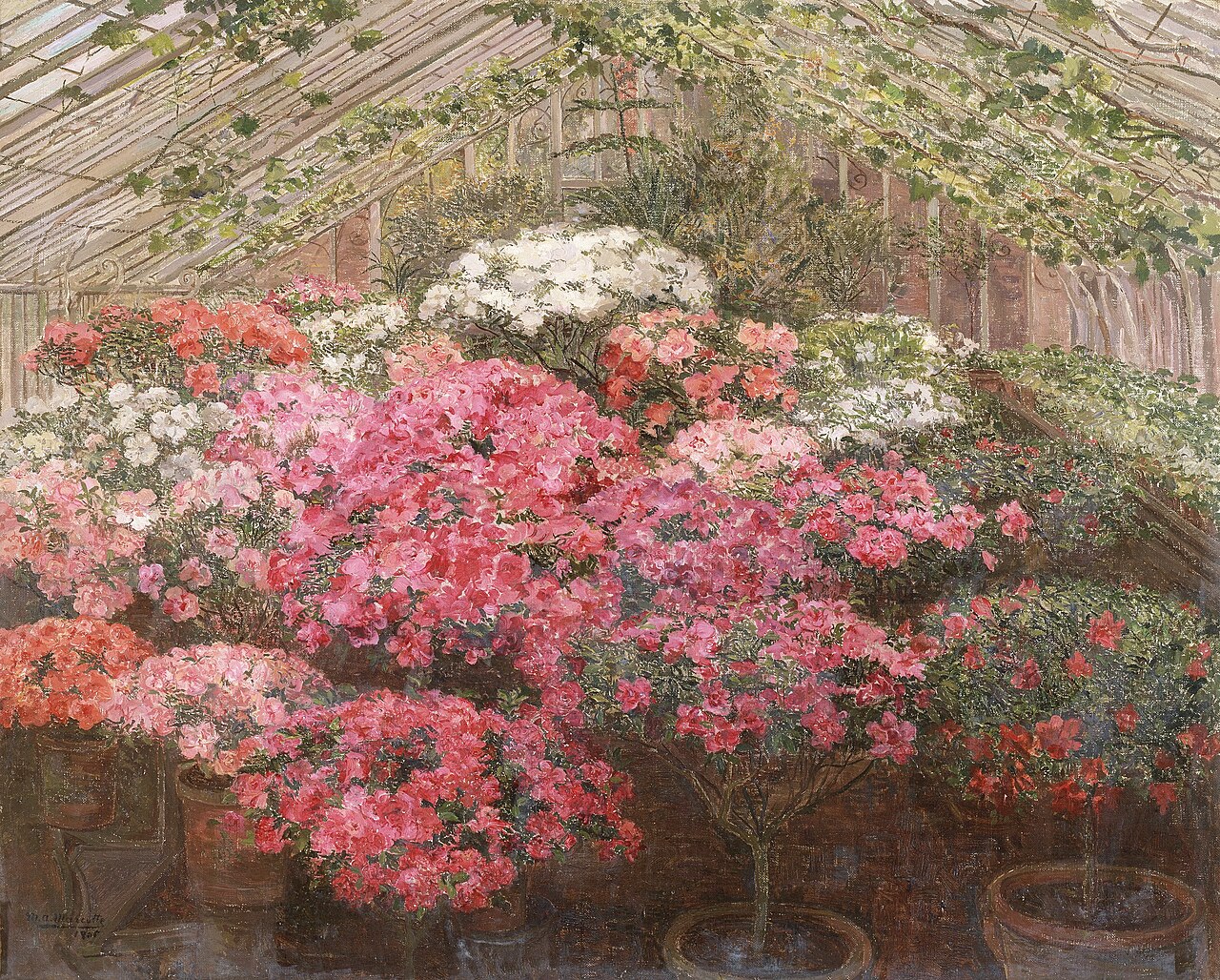 Azalea's in a hothouse by Marie Antoinette Marcotte