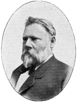 Portrait of Mårten Eskil Winge