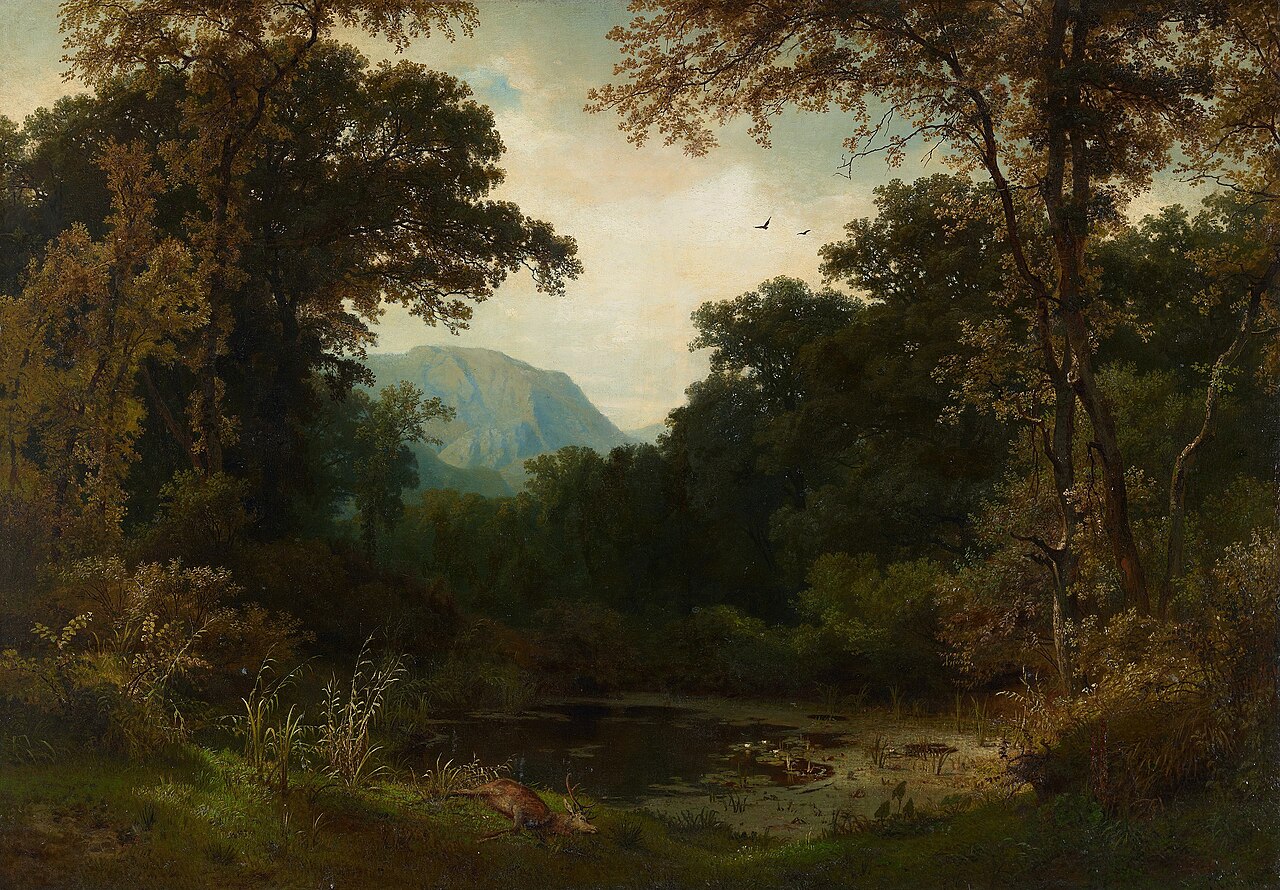 Forest and mountain by Max Schmidt