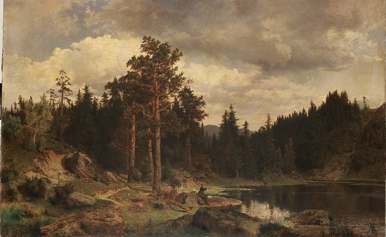 Woodland in Norway by Morten Müller