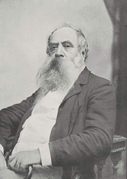 Portrait of Mosè Bianchi