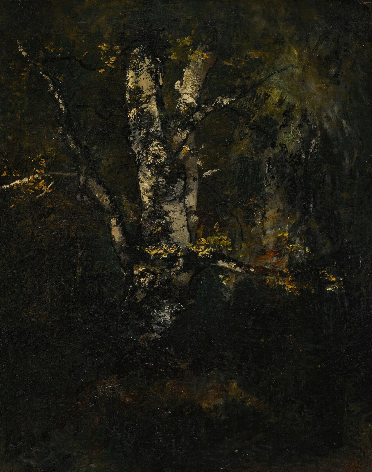 Old Beech Trunks by Narcisse Virgilio Díaz