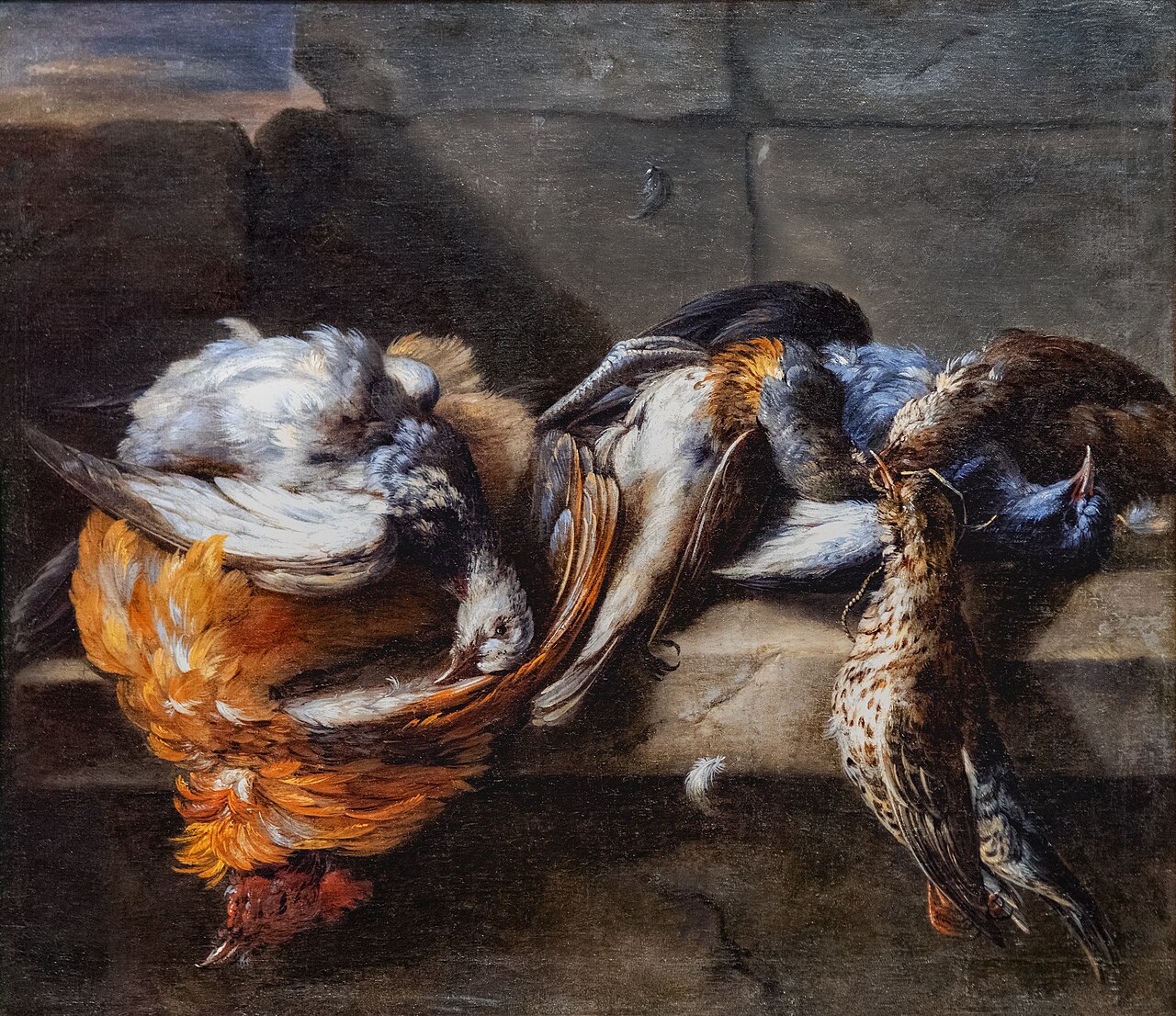 Beaux-Arts de Carcassonne - Gibier de plumes sur un rebord de pierre - Nicasius Bernaerts by Nicasius Bernaerts