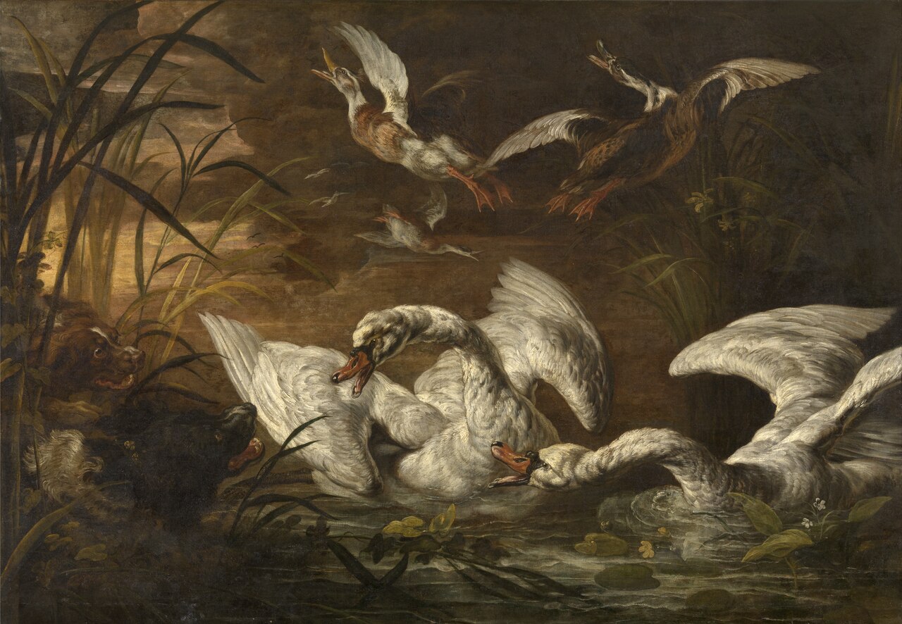 Swans and Dogs by Nicasius Bernaerts