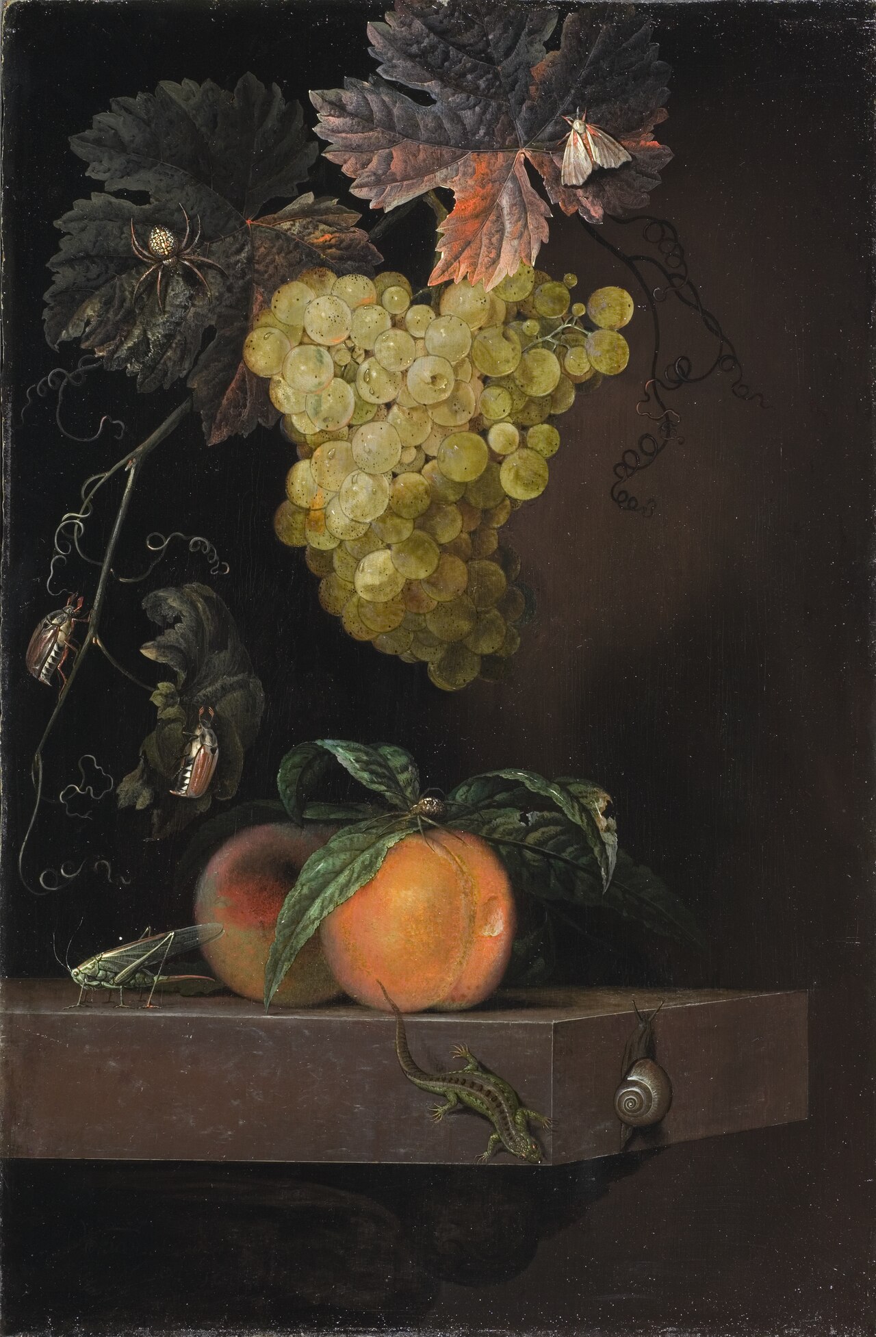 Still Life with Fruit, Lizard and Insects by Ottmar Elliger