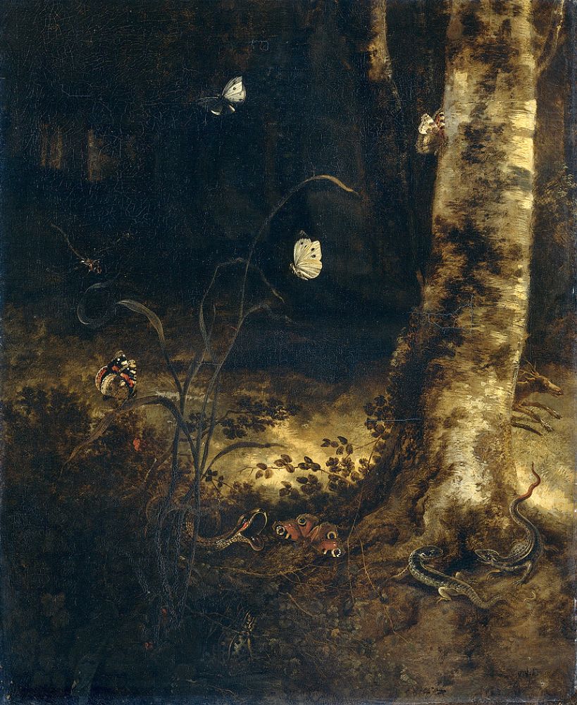 A forest floor with a snake, lizards, butterflies and other insects by Otto Marseus van Schrieck