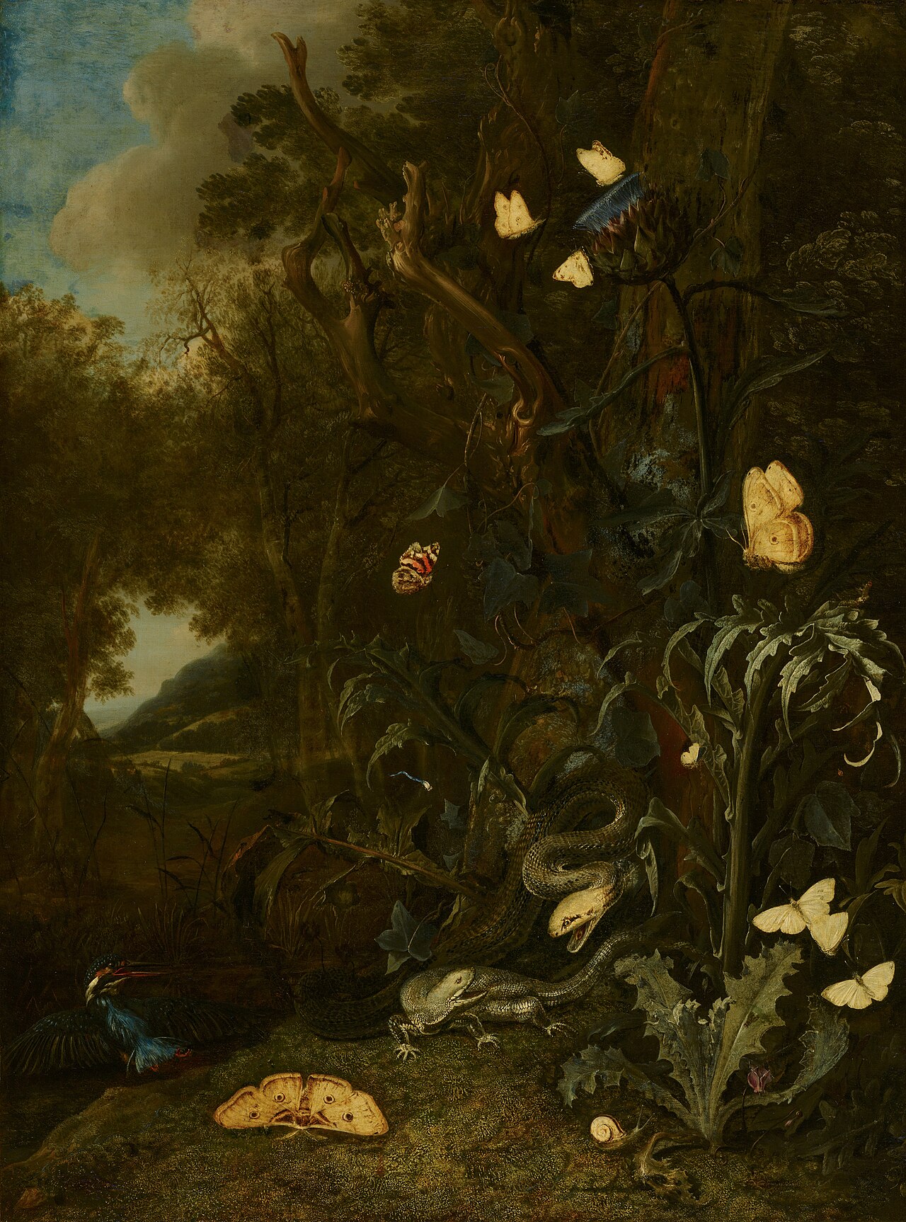 Plants and Insects by Otto Marseus van Schrieck