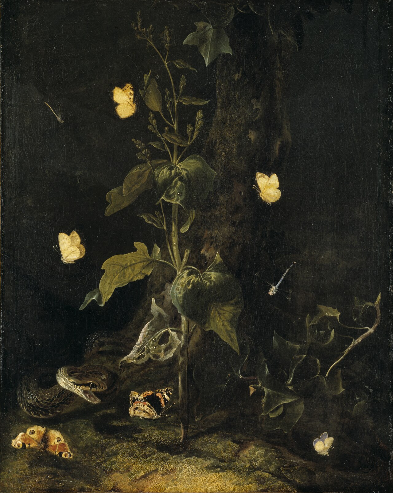 Serpent and Butterflies in the Woods by Otto Marseus van Schrieck
