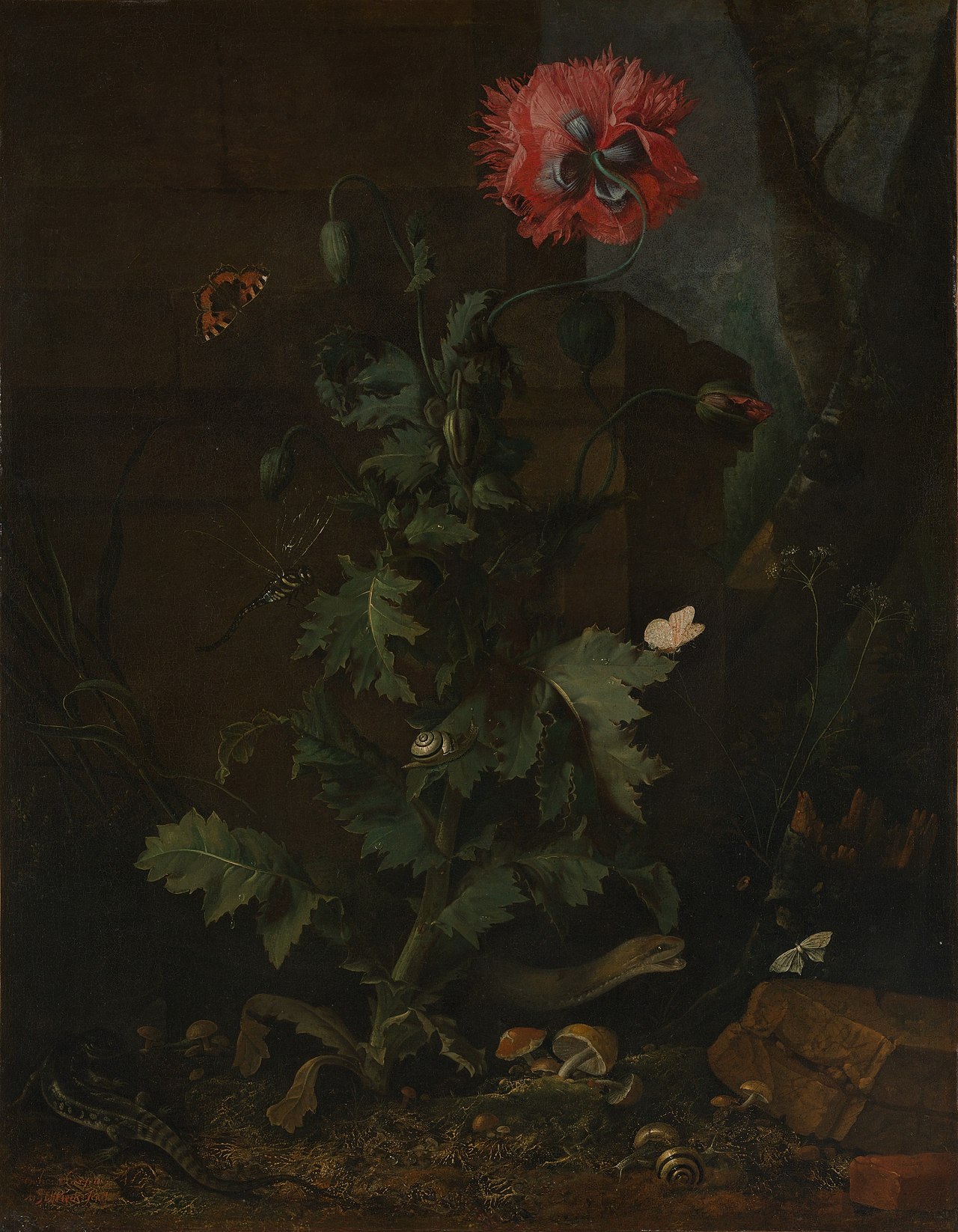 Still Life with Poppy, Insects, and Reptiles by Otto Marseus van Schrieck