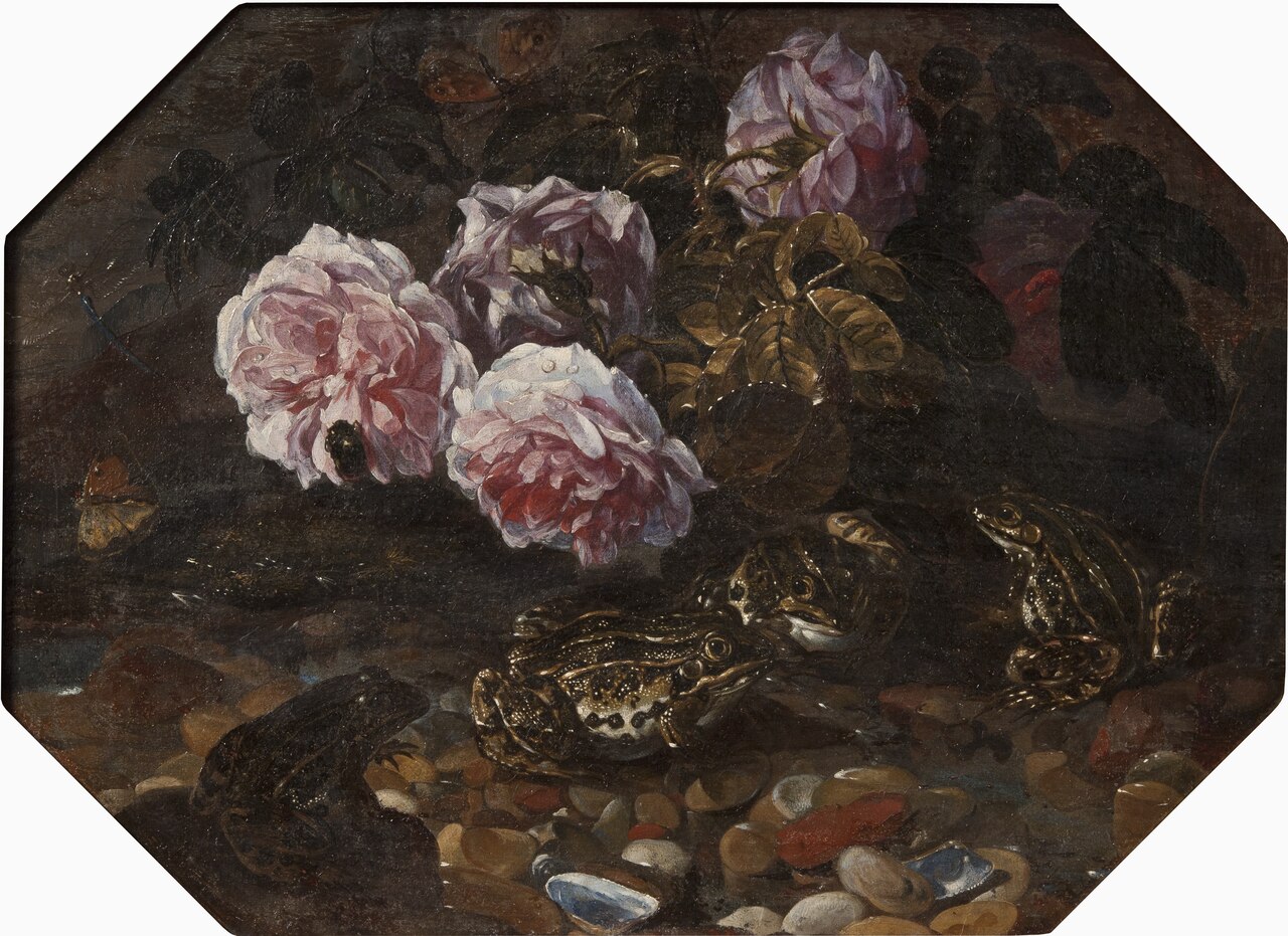 Frogs, Wild Roses, Shells and Butterflies by Paolo Porpora