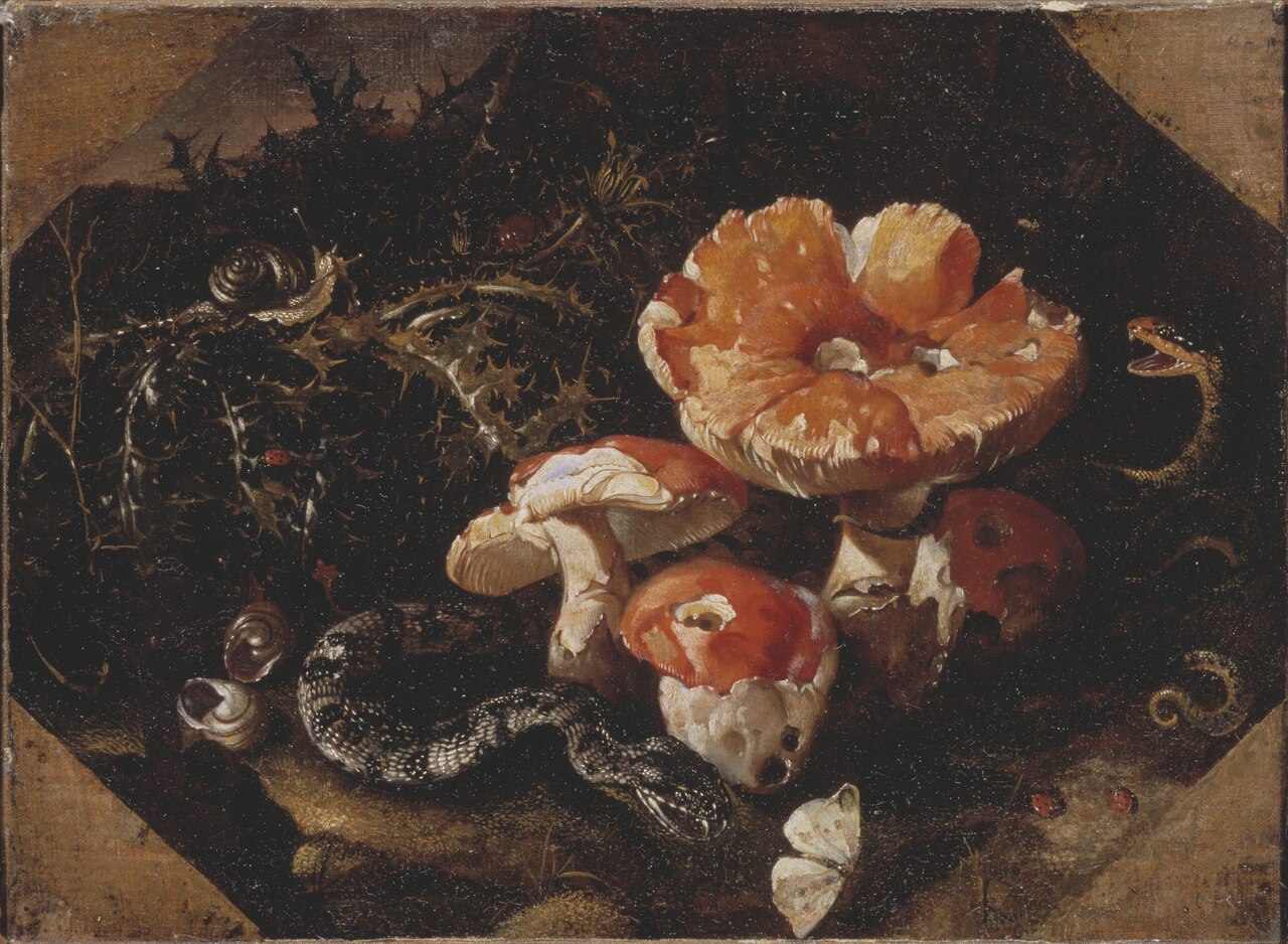 Serpents, Fly Agarics and Thistles by Paolo Porpora