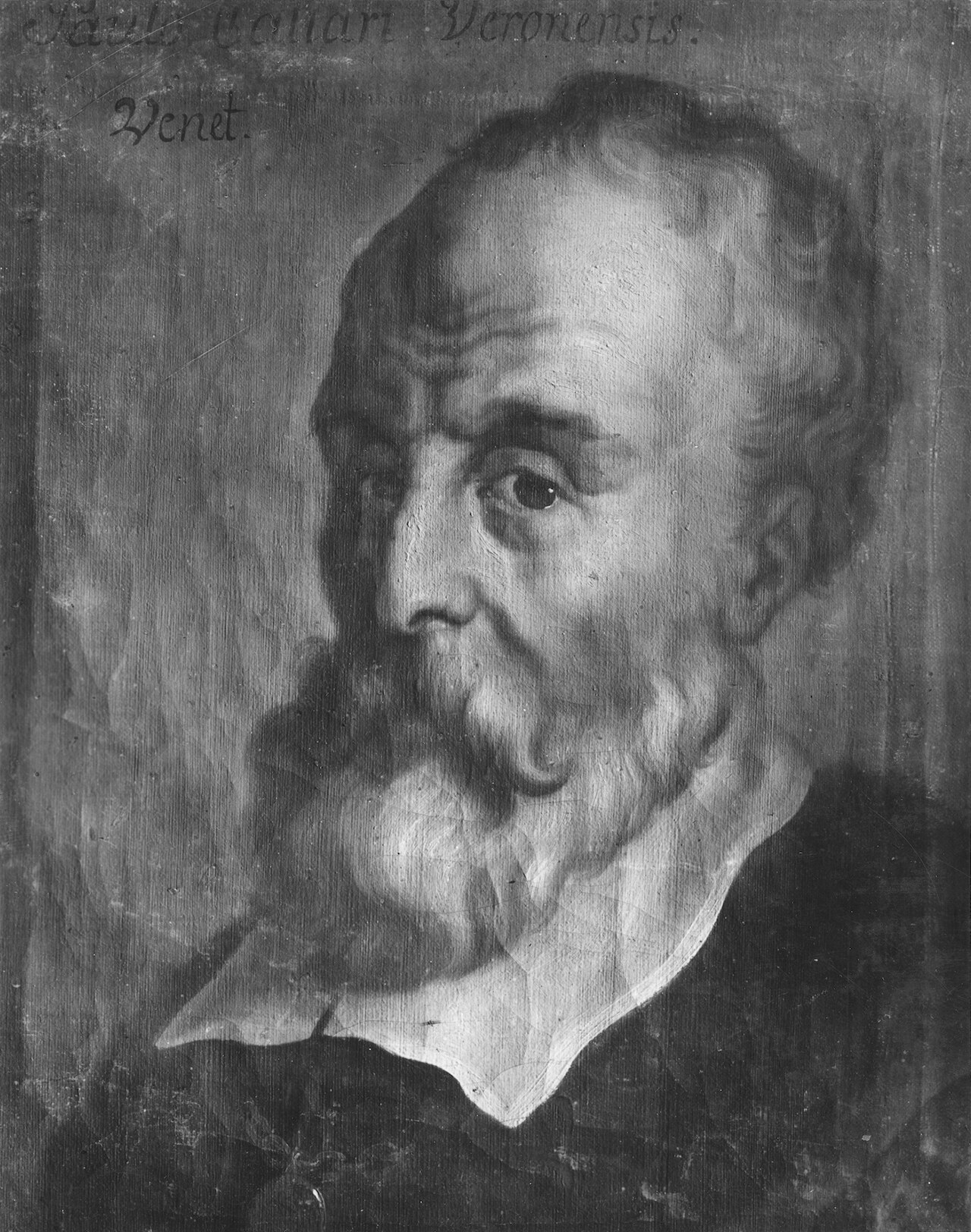 Portrait of Paolo Veronese