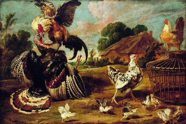 Turkey and rooster. by Paul de Vos