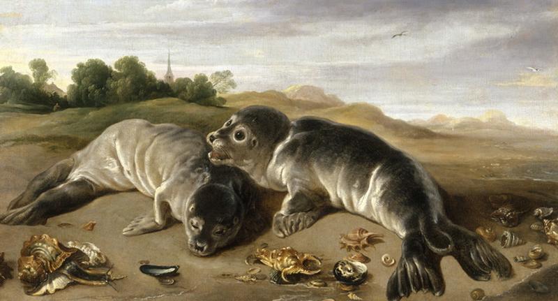 Two young seals on the shore by Paul de Vos